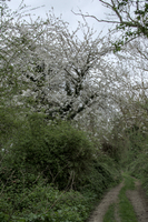 img28